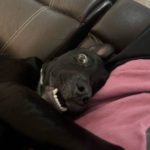 Meet your Posher, Christopher